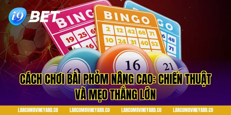 Cách chơi bài phỏm nâng cao: chiến thuật và mẹo thắng lớn
