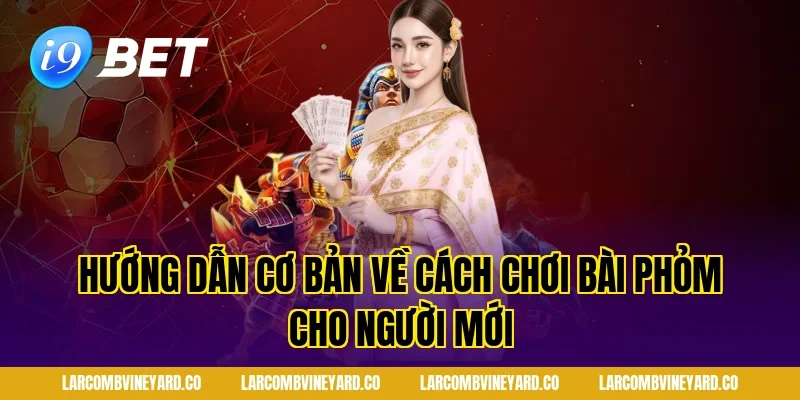 Hướng dẫn cơ bản về cách chơi bài phỏm cho người mới